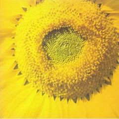 US/ORIGINAL盤】Ocho - Numero Tres /UA Latino/LT-LA 153-D
